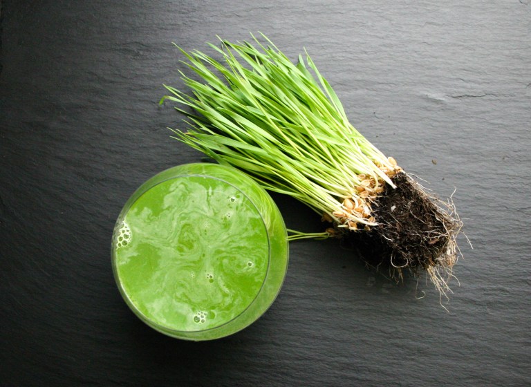 The Good Greeff -Green Juice with Wheat Grass