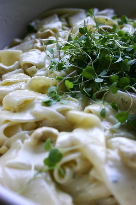 TheGoodGreeff Gorgonzola Pasta with Cashews